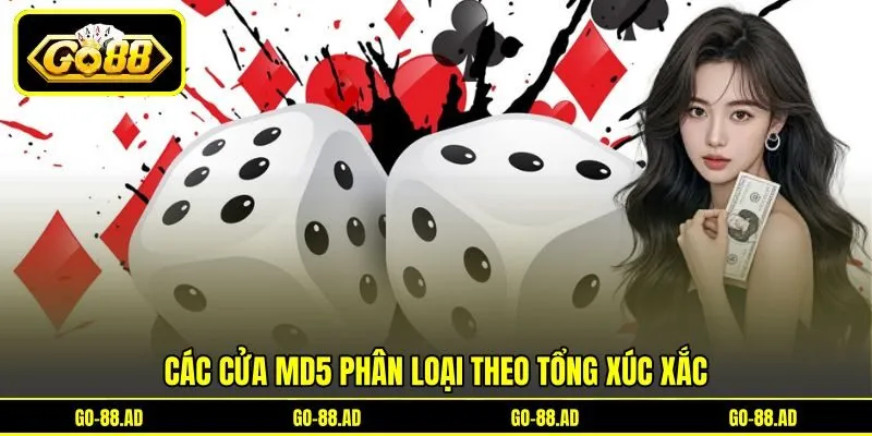 Các cửa MD5 phân loại theo tổng xúc xắc