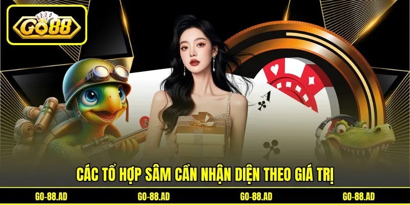 Các tổ hợp Sâm cần nhận diện theo giá trị