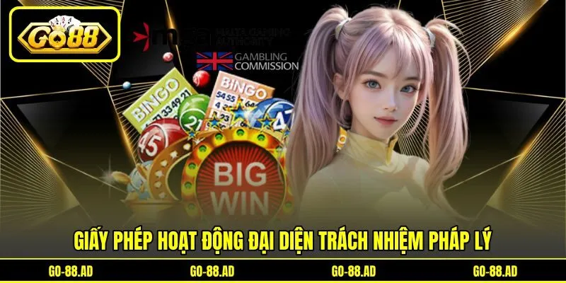 Giấy phép hoạt động đại diện trách nhiệm pháp lý