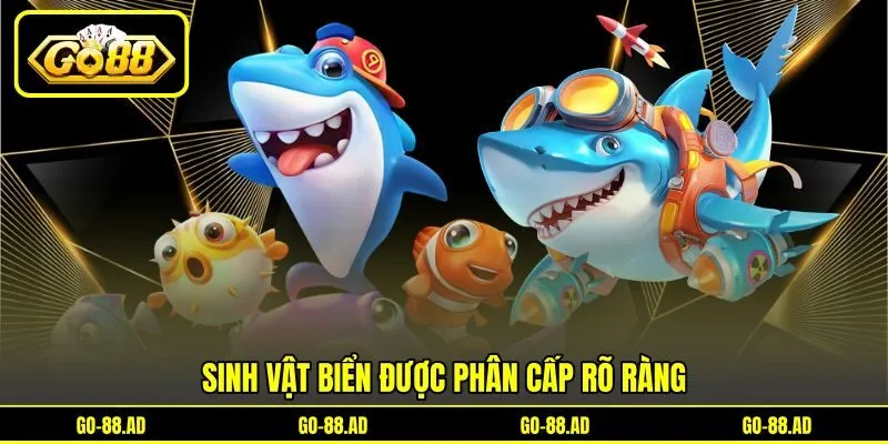 Sinh vật biển được phân cấp rõ ràng